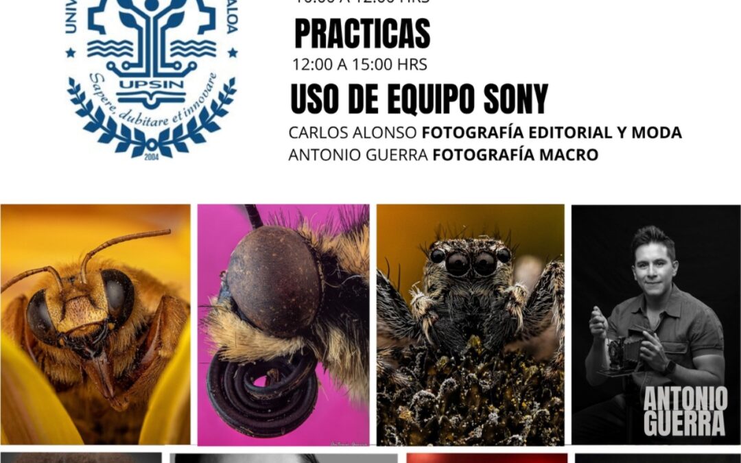 Tour University 2025 SONY