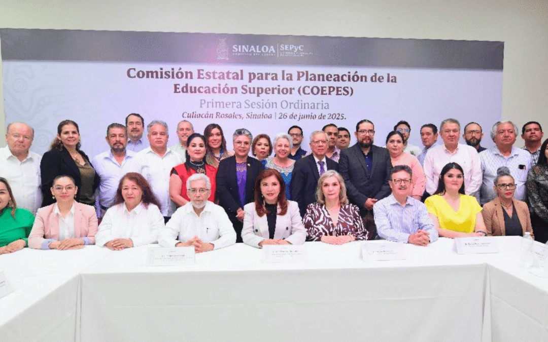 UPSIN participa en la 1ª Sesión Ordinaria 2025 de la COEPES