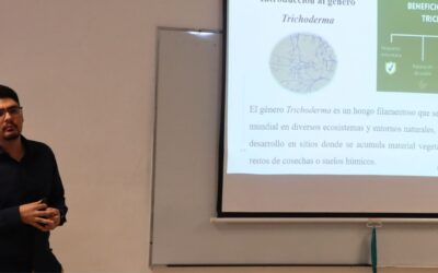 Finaliza el Seminario de Investigación 2025 de la Maestría en Ciencias Aplicadas en la UPSIN