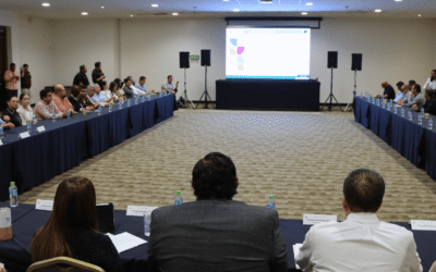 UPSIN participa en la IV Asamblea Ordinaria del CODESIN Zona Sur