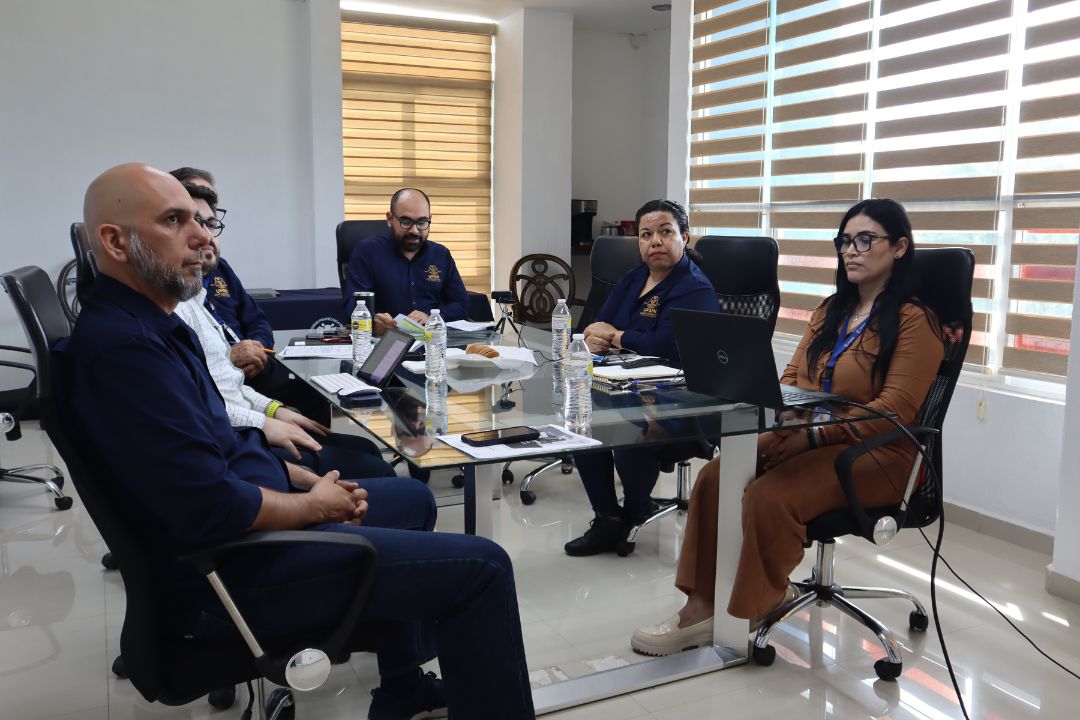 UPSIN realiza la 1.ª Sesión Ordinaria del COCODI