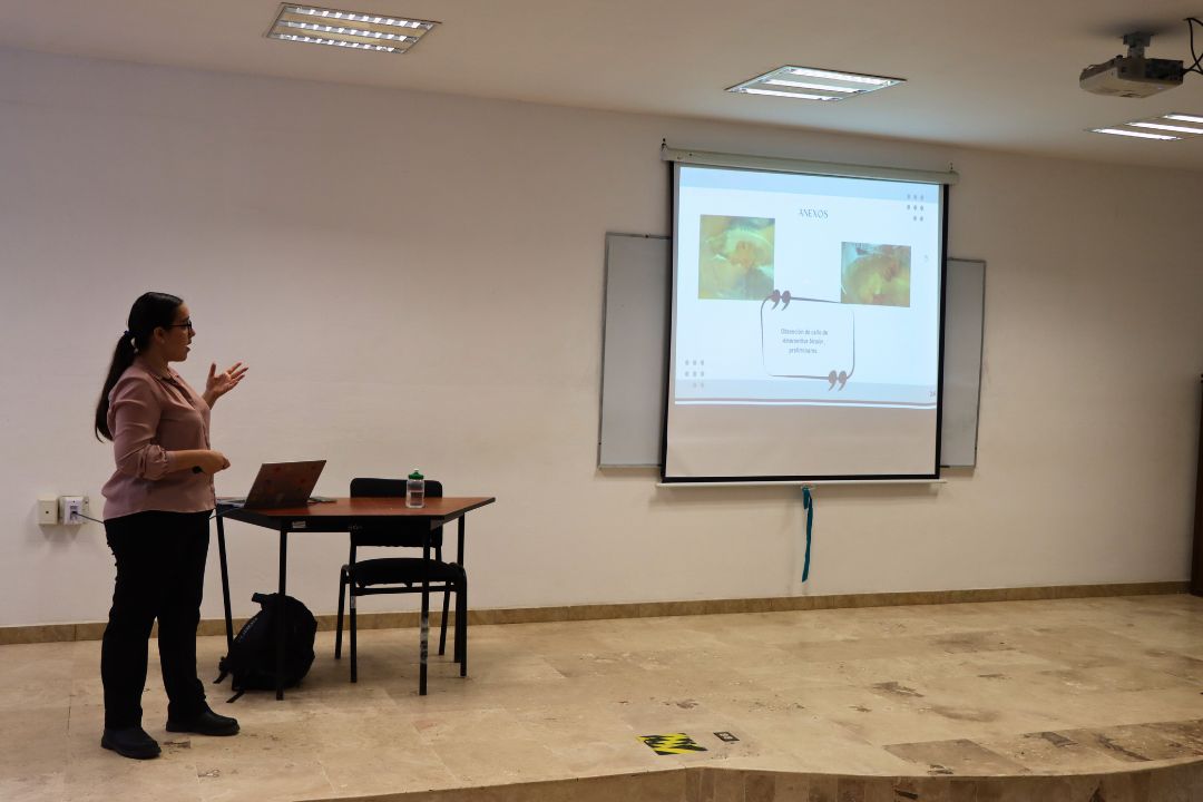 2026-03--Protocolo tesis MCA