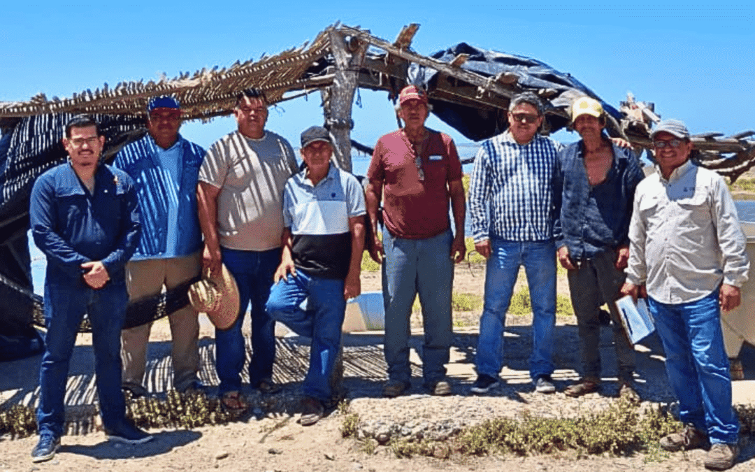 UPSIN da continuidad a proyectos NODESS en cooperativas pesqueras del sur de Sinaloa