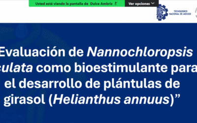 Investigaciones de UPSIN exploran alternativas para el aprovechamiento de residuos y el desarrollo agrícola